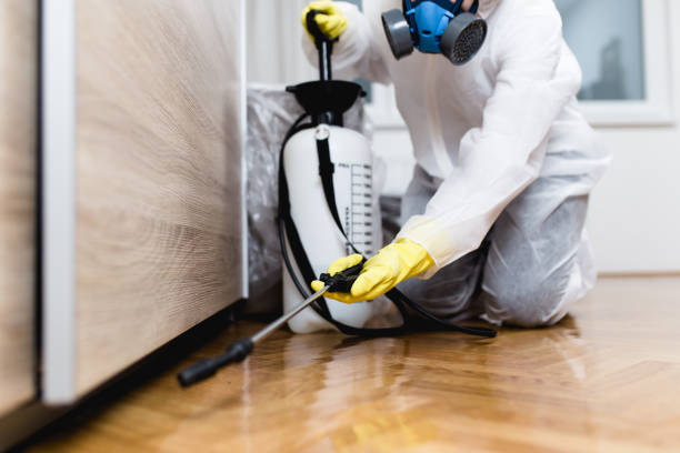 Best Pest Control for Businesses  in Kapaau, HI