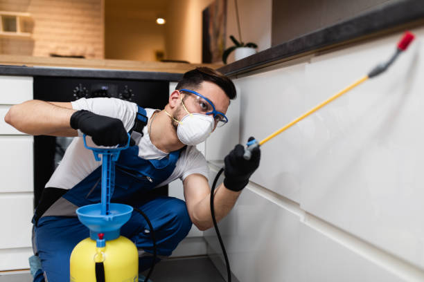 Flea Control Services in Kapaau, HI