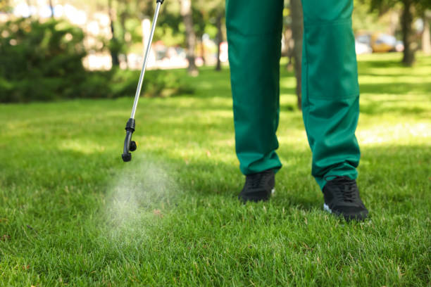 Best Wildlife Control Services  in Kapaau, HI