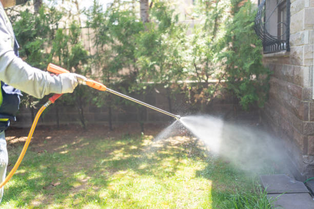 Best Best Pest Control Companies  in Kapaau, HI