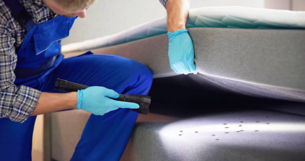 Reliable Kapaau, HI Pest Control Solutions
