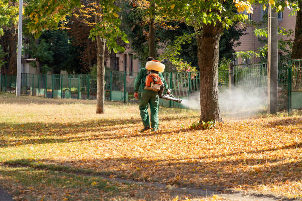 Best Pest Prevention Services  in Kapaau, HI